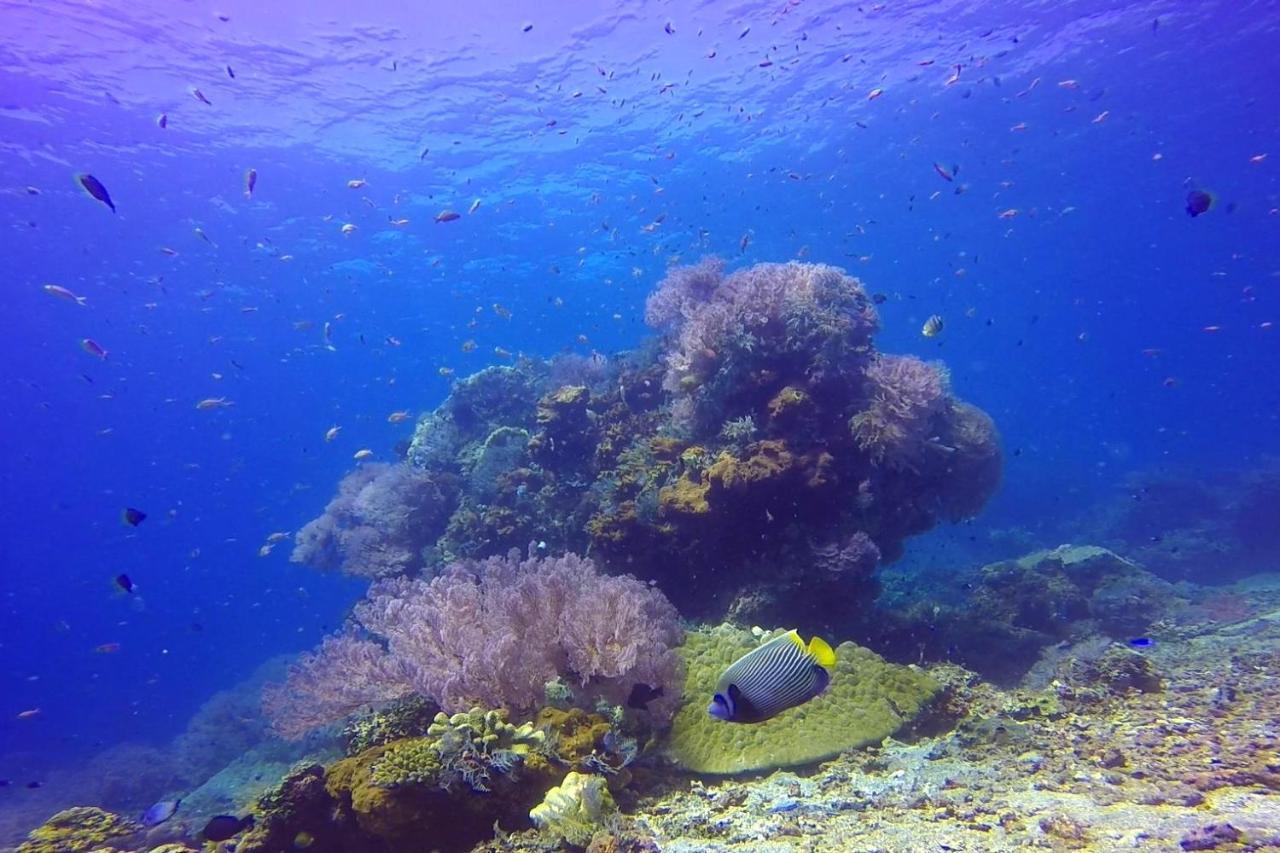 Selang Resort Amed Exteriör bild